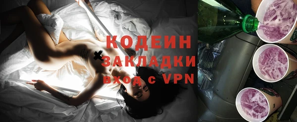гидра Кодинск