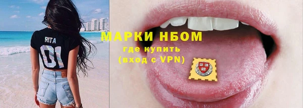 гашик Козловка