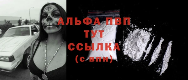 гидра Кодинск