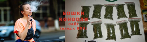 мдпв Козельск