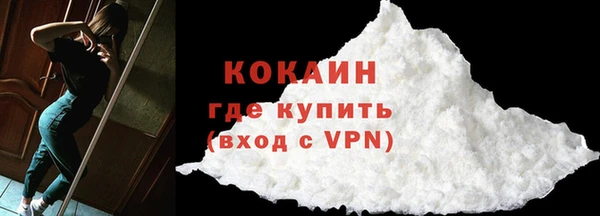 гашик Козловка