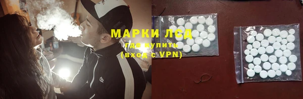 гидра Кодинск