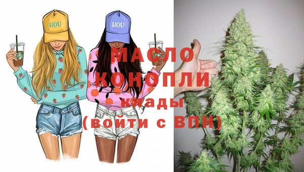гидра Кодинск