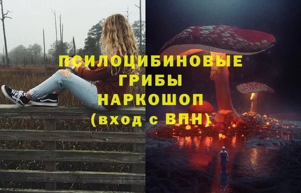 мдпв Козельск