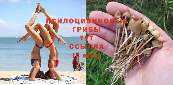 мдпв Козельск