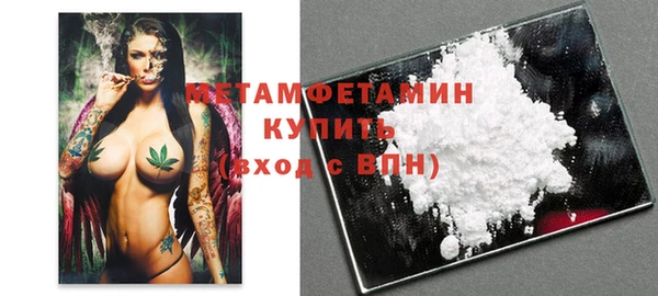 гидра Кодинск