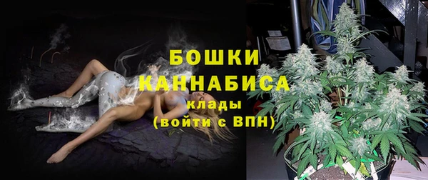 гашик Козловка