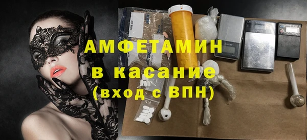 гидра Кодинск