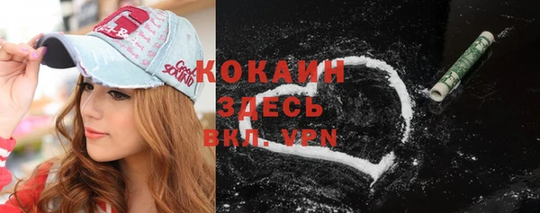 гидра Кодинск