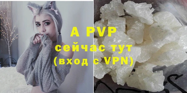 мдпв Козельск
