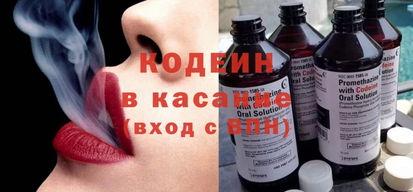 гидра Кодинск