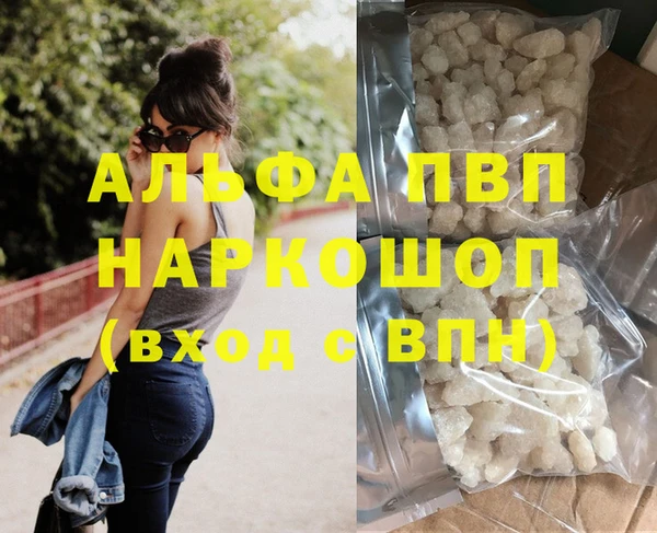 гидра Кодинск