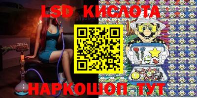 стафф Донецк