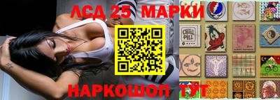 стафф Донецк
