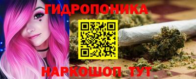 стафф Донецк