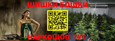 соль ск Дубна