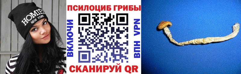 Псилоцибиновые грибы ЛСД  Минусинск 