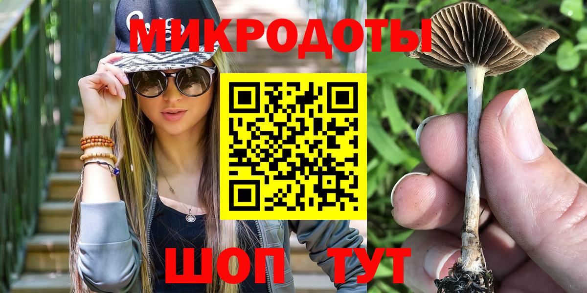 Минусинск  Псилоцибиновые грибы мицелий  купить наркоту  Вход с VPN  Галлюциногенные грибы мицелий 