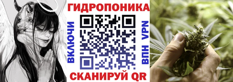 где продают   кракен tor  Каннабис ГИДРОПОН  Минусинск 